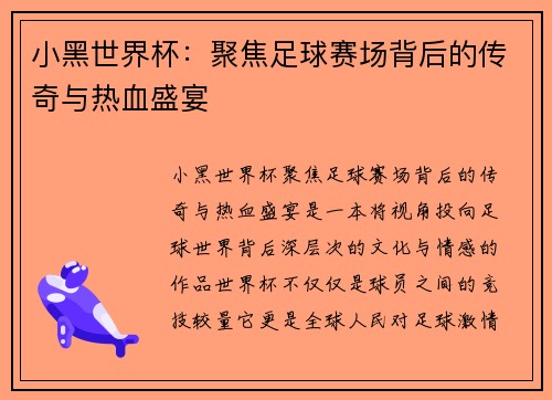 小黑世界杯：聚焦足球赛场背后的传奇与热血盛宴